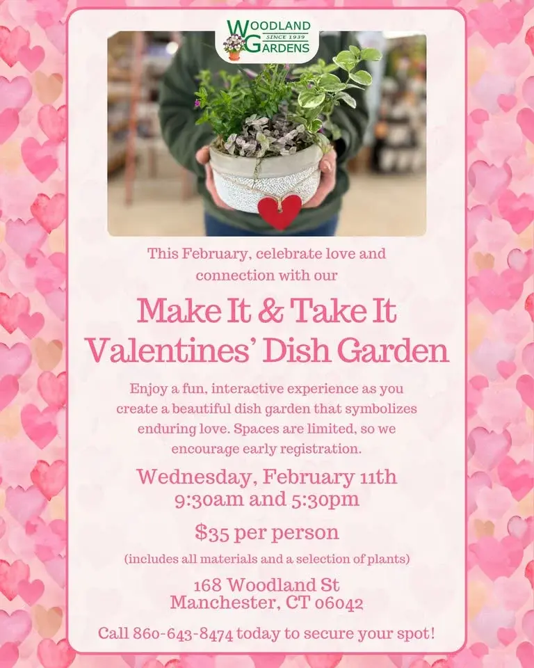 Valentines' Dish Garden Workshop