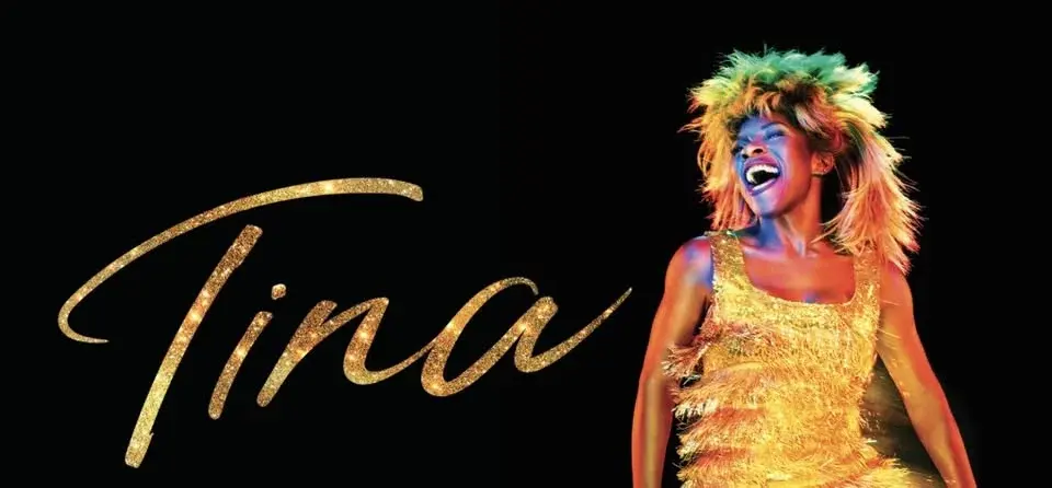Tina Turner Tribute Night
