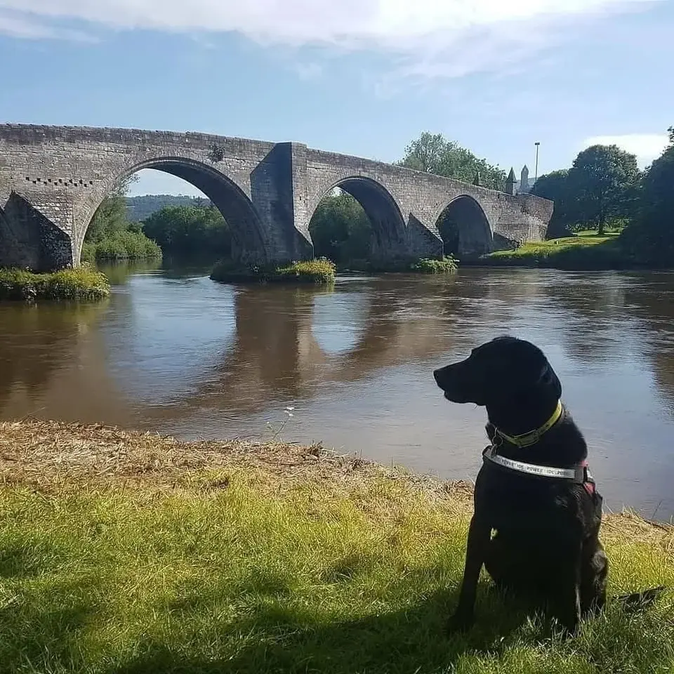 Stirling Bridge Commemoration 