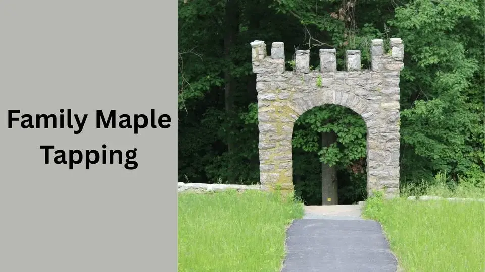 Family Maple Tapping