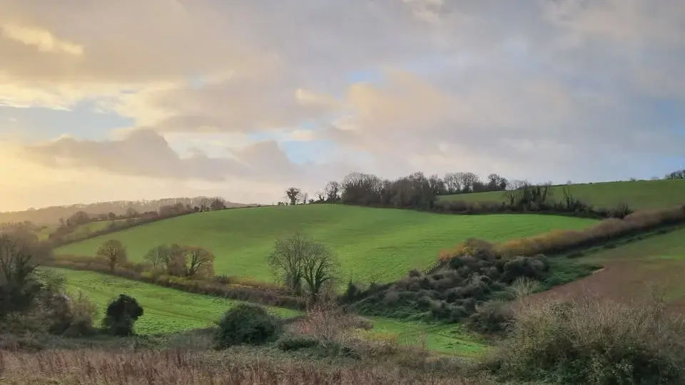 Cockington Xmas Caper 2026
