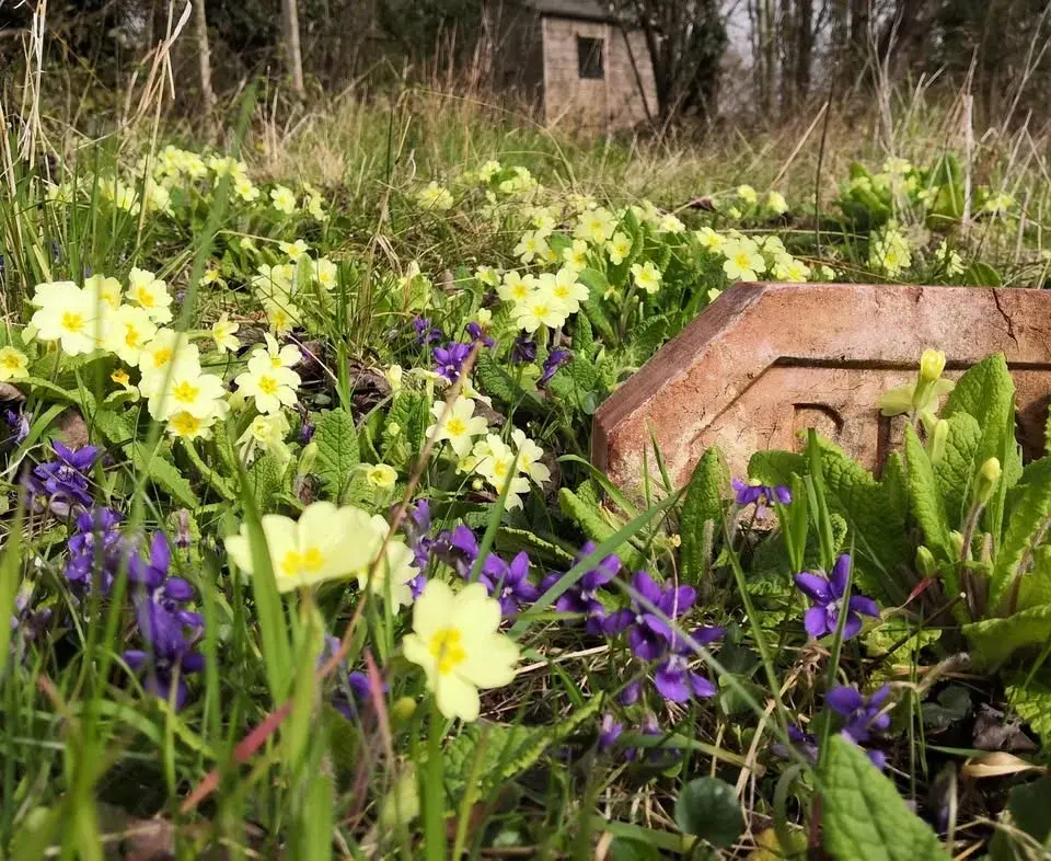 Mother's Day @ The Brickworks Museum