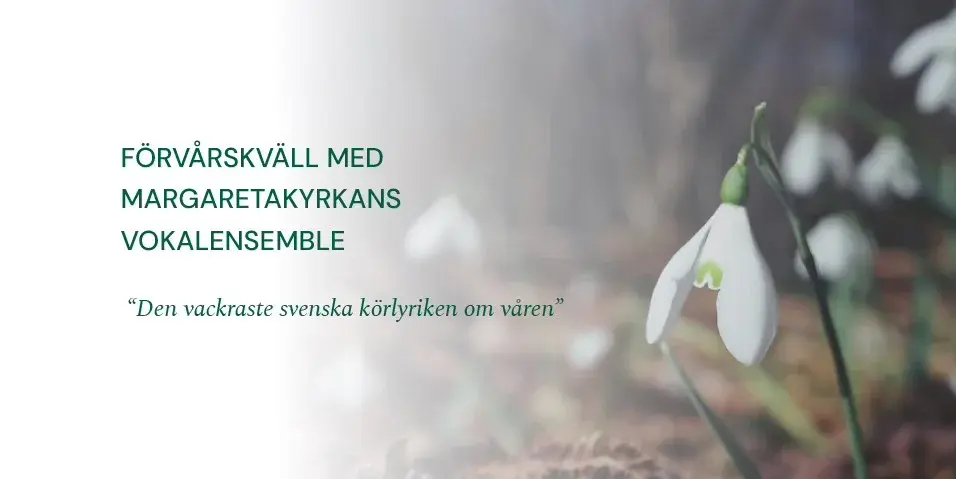 Torsdagstoner- Förvårskväll