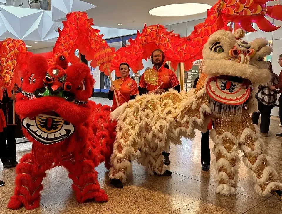 Chinese New Year 🏮