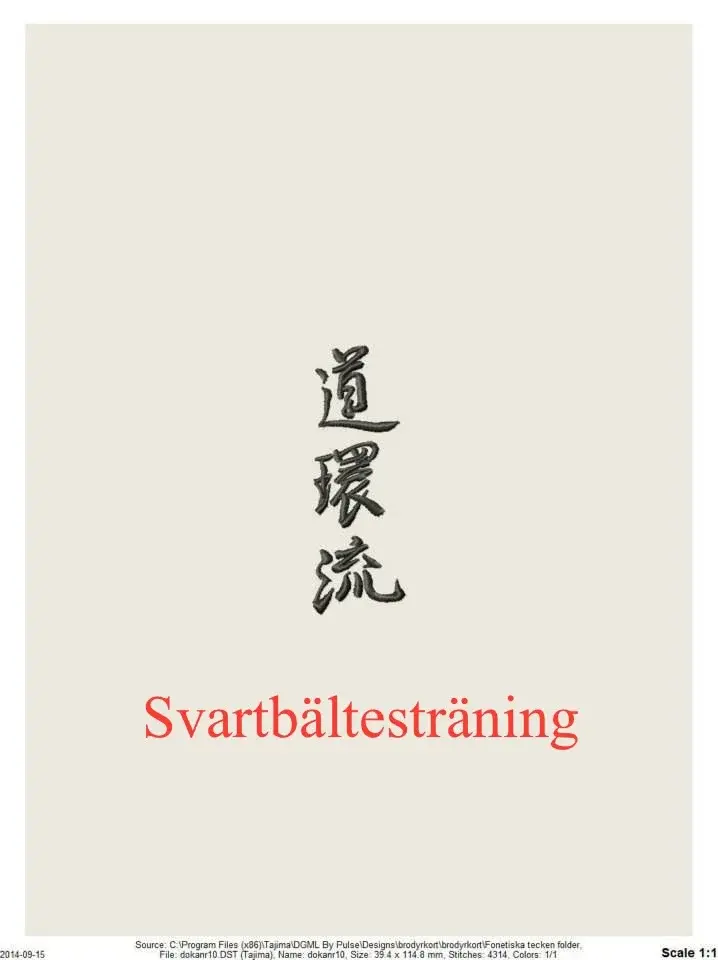 Svartbältesträning Yudanshakai