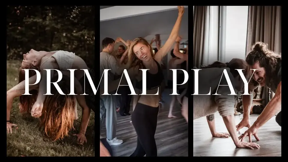 Primal Play Sthlm - explore embodied connection