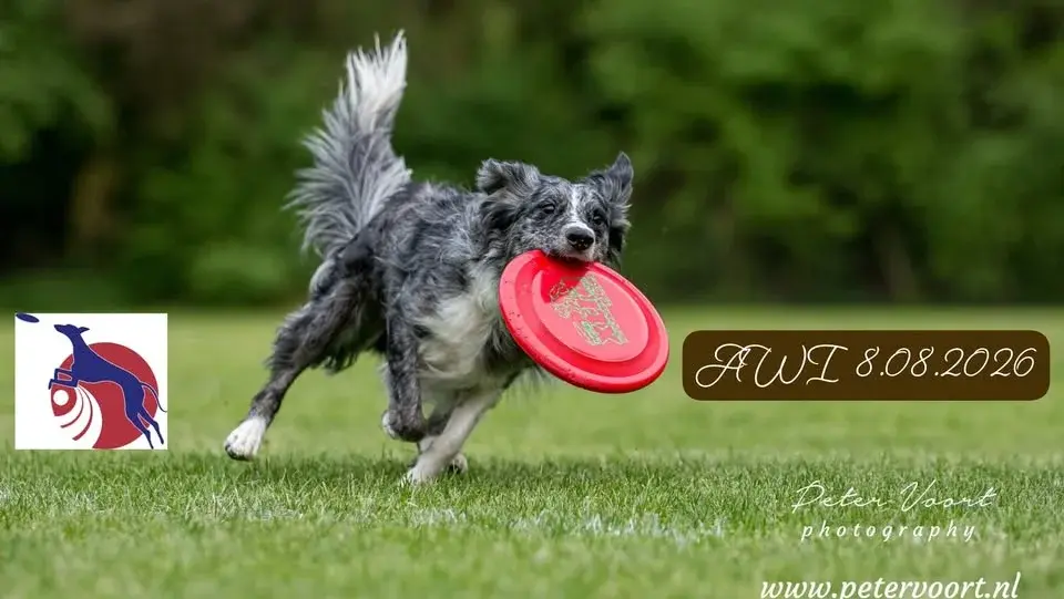 AWI