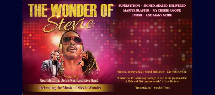THE WONDER OF STEVIE