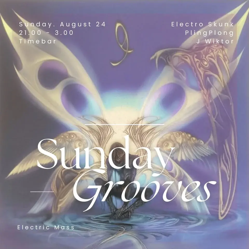 Sunday Grooves: Electric Mass vol. 11 with Electro Skunk, PlingPlong & J Wiktor