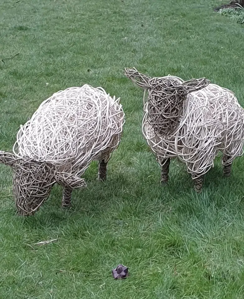 Willow Weaving Workshop - Lamb ๐/ sheep