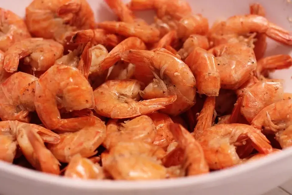 Shrimp Blast 2026
