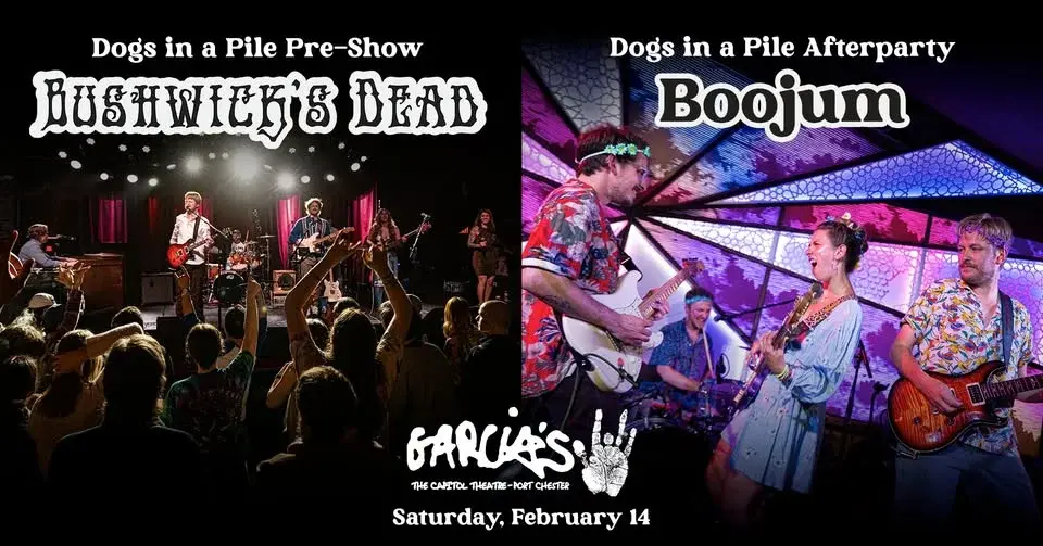 Dogs In A Pile Pre-Show & Afterparty with Bushwick's Dead & Boojum