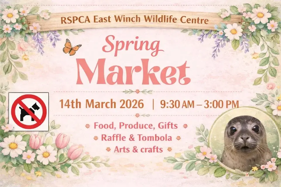 RSPCA East Winch Spring Market