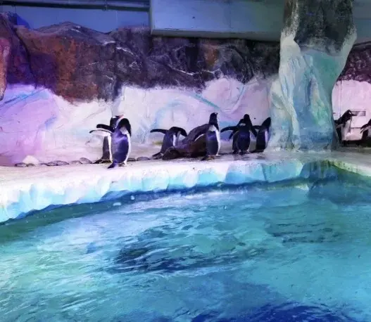 Empty the Tanks-SeaLife Centre Protest