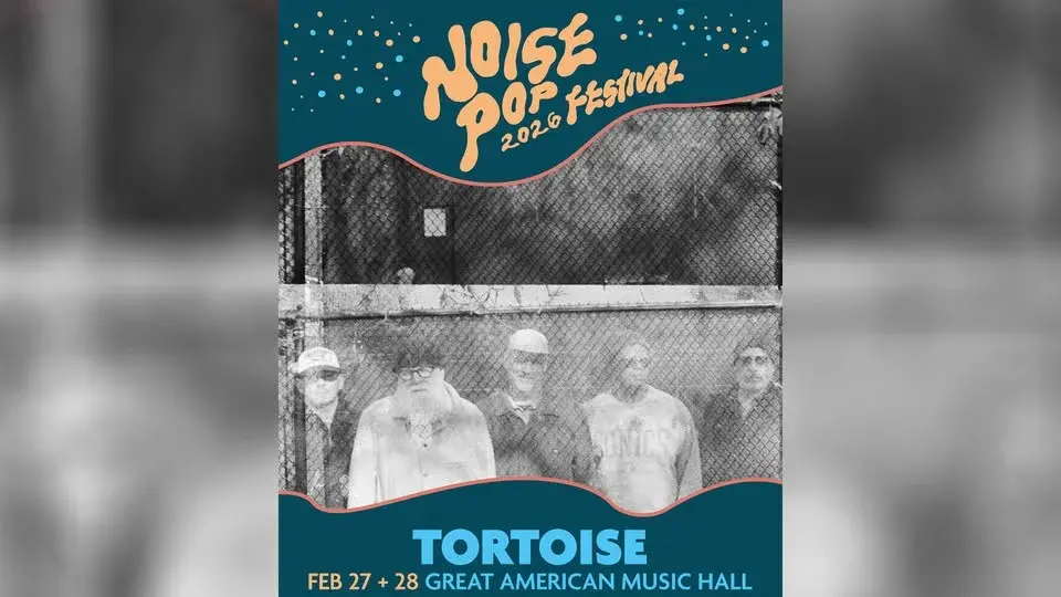 Tortoise