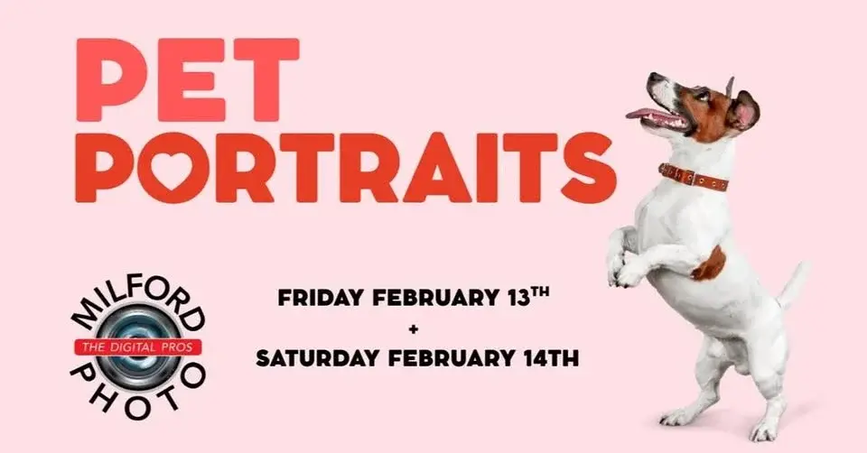 Pet Portraits