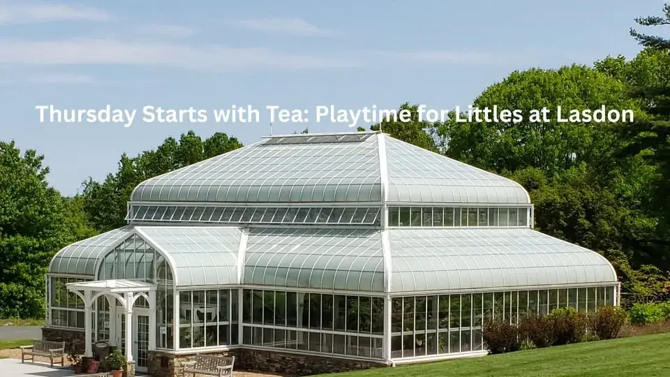 Thursday Starts with Tea: Playtime for Littles at Lasdon