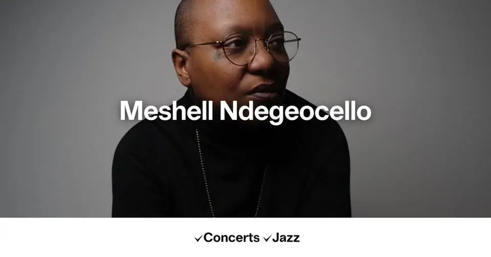 Meshell Ndegeocello