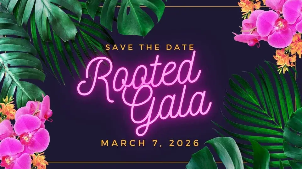 Rooted Gala