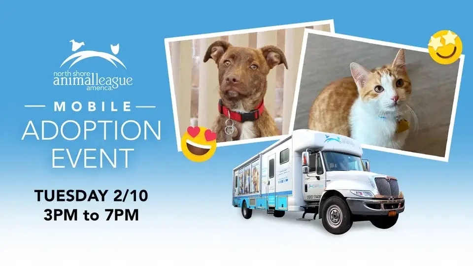 Meet Your New Best Friend at our MOBILE PET ADOPTION EVENT!