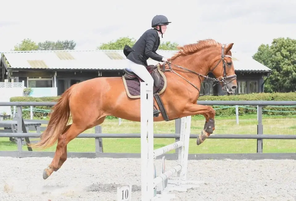 Unaffiliated PRIZE MONEY Showjumping + Dressage