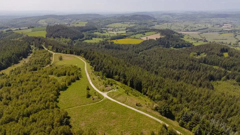 The Mortimer Trail