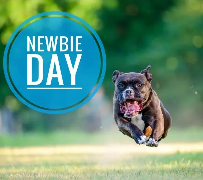Newbie Day