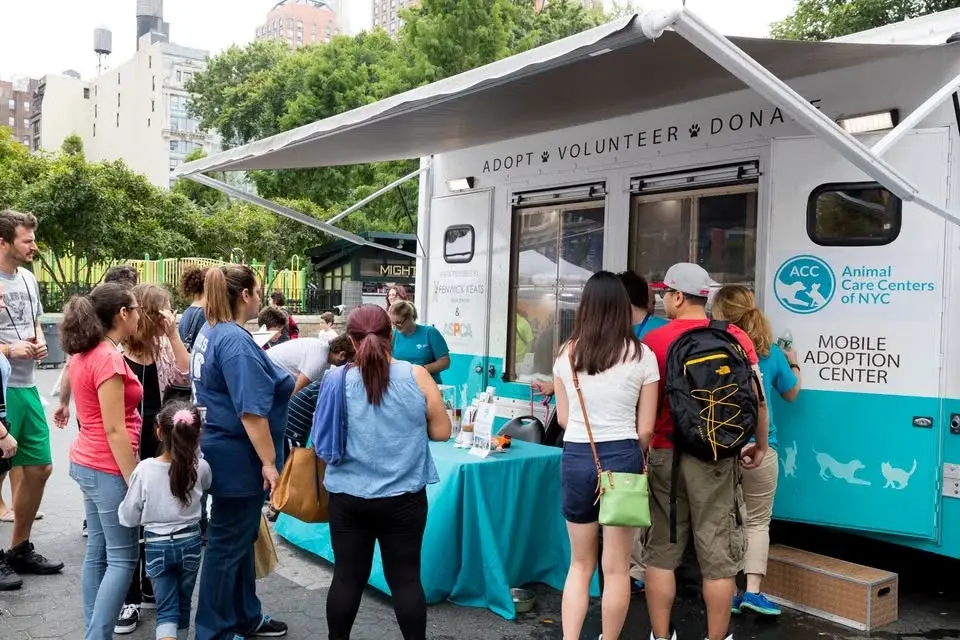 The Pet Market | Manhattan Adoption Event