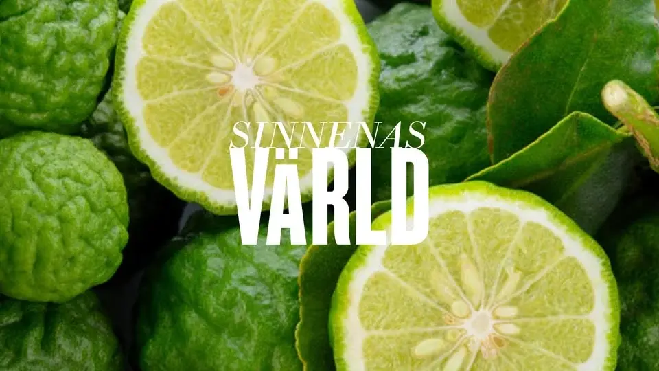 Med doft av citrus med Victor Langer