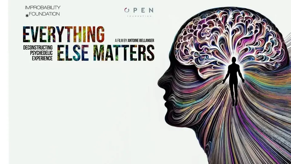 Deconstructing Psychedelic Experience - Everything Else Matters: Screening and Party