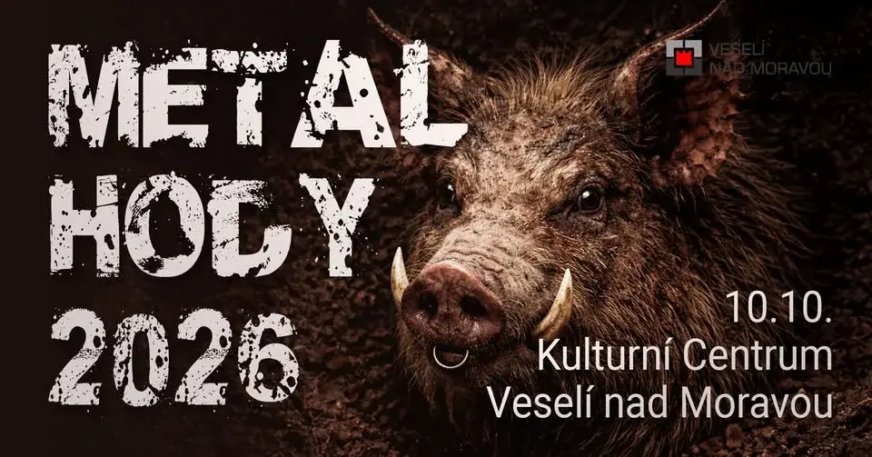 Metal Hody 2026