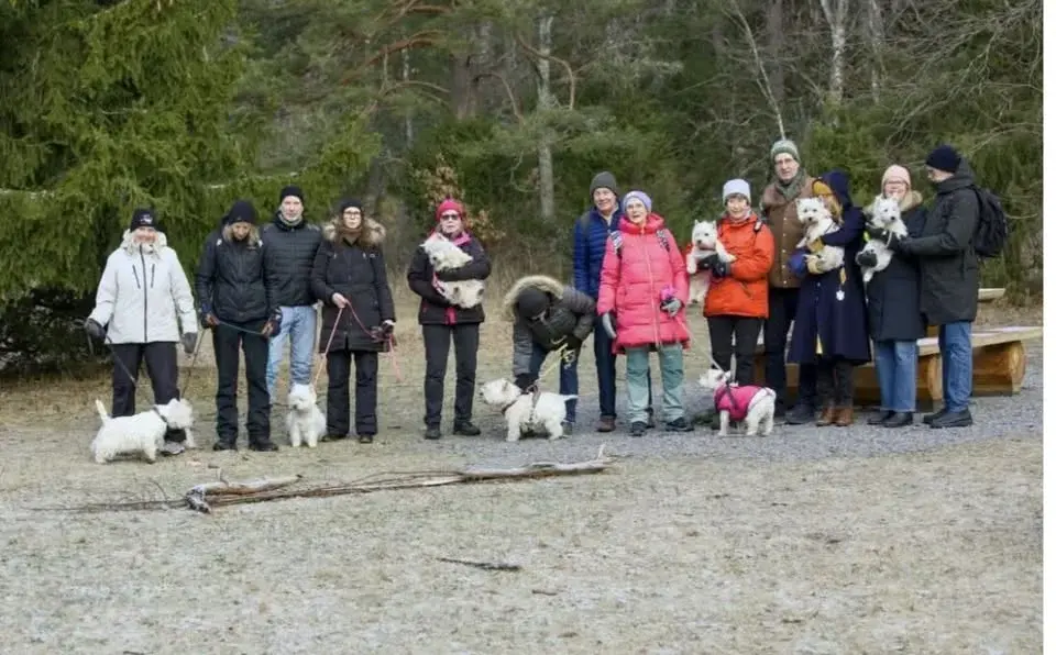 Dags för nästa westiepromenad-söndagen den 1mars! 