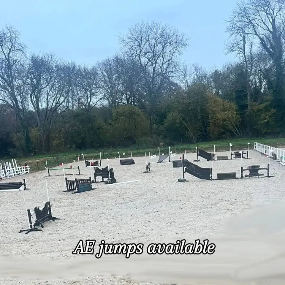 Wood Farm Arena Eventing Clinic 70cm plus