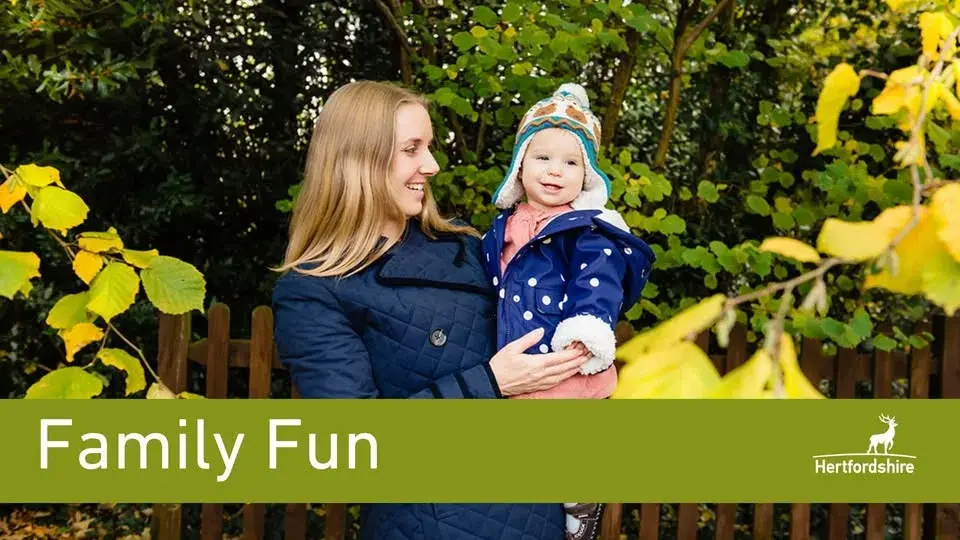 Family Fun