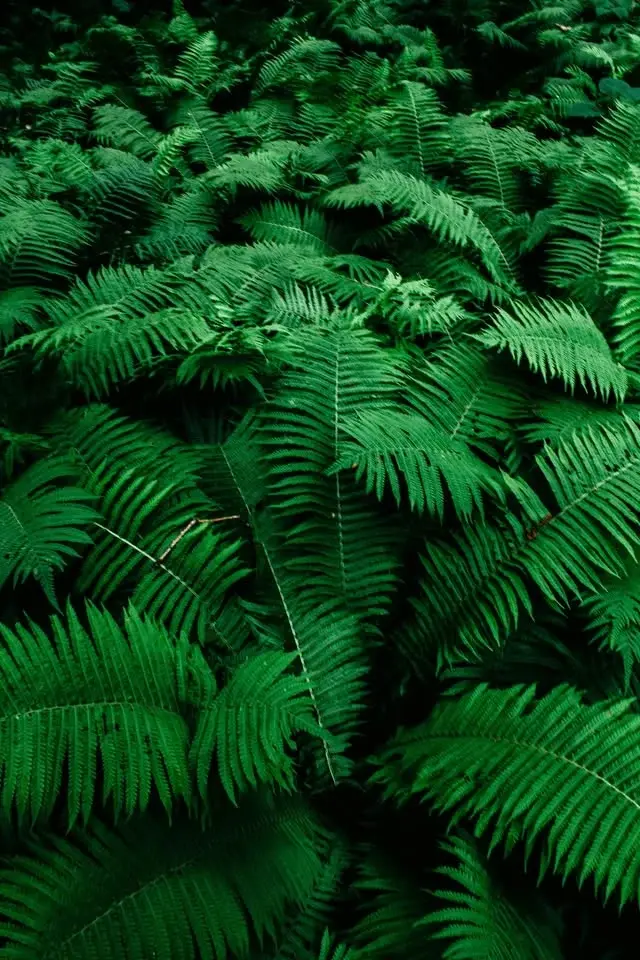 Indoor Talk: Brackenhall & Bradford's new National Nature Reserve