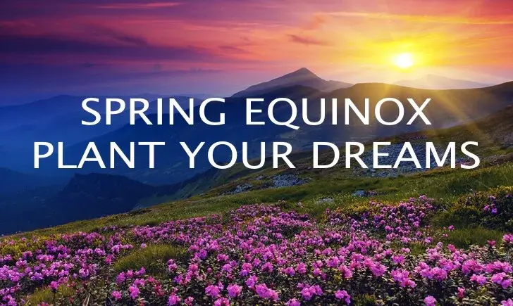 Welcoming Spring: Sound Bath with Cacao