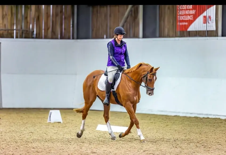Dressage Winter Series DOUBLE POINTS