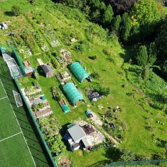 big play day