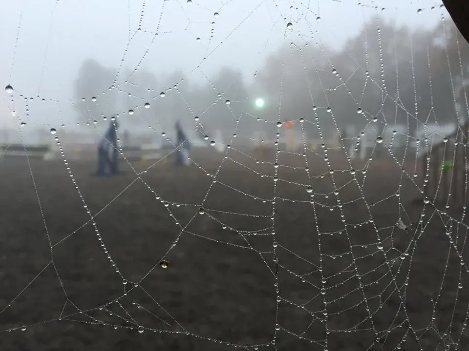Halloween Fun Show