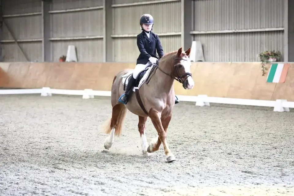 BRC Area 12 Introductory Dressage Qualifier (Hosted by ETSW) 21st February 2026