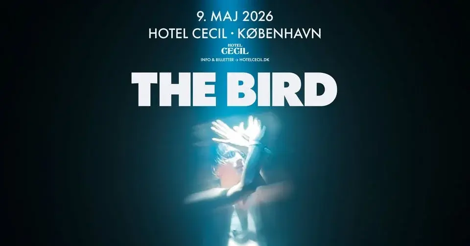 The Bird | Hotel Cecil, København
