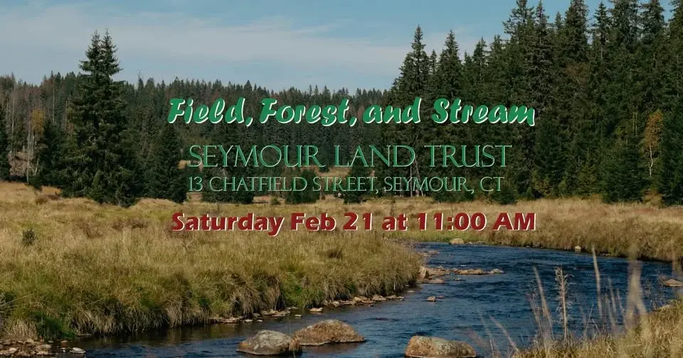 Field, Forest, and Stream