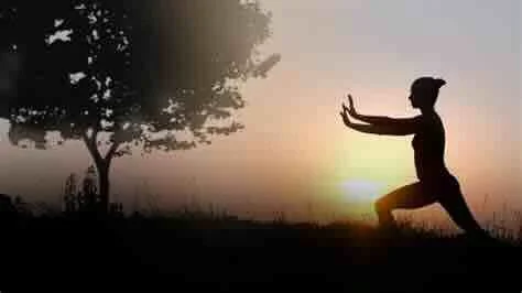 Qigong med Christin Wallgren vid S:t Eriksplan