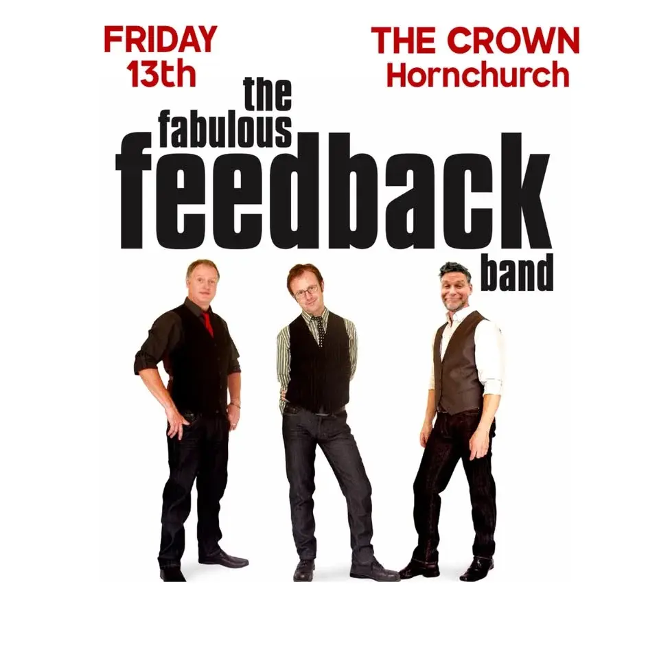 Fabulous Feedback Band on Friday 13th