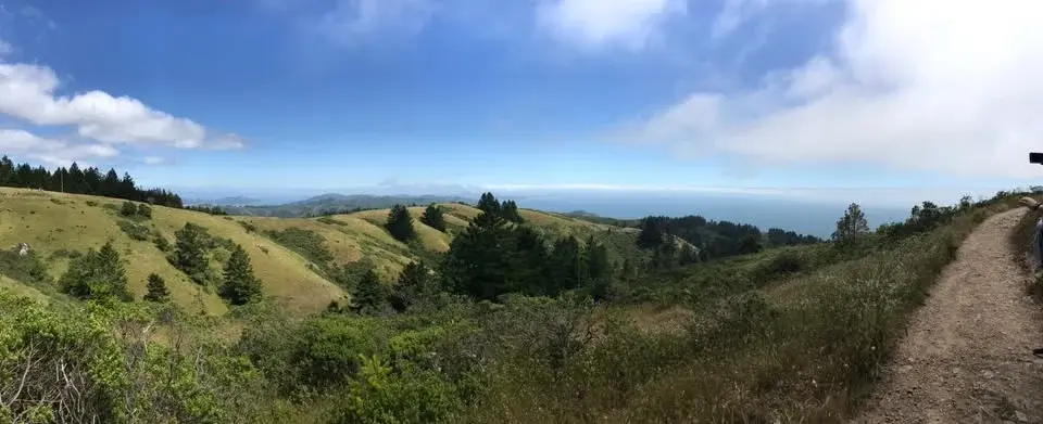 Dipsea: Hiking Marin's Most Famous Trail + Picnic