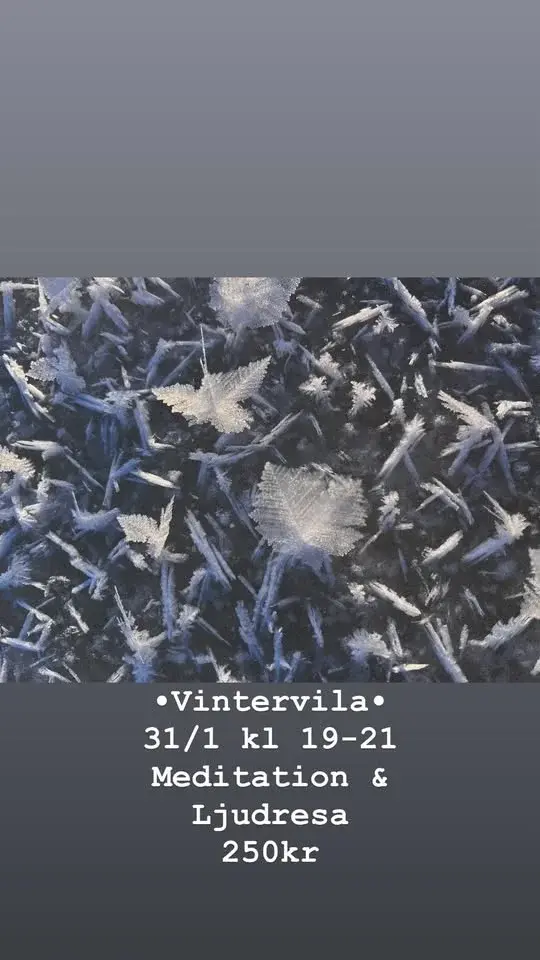 Vintervilan