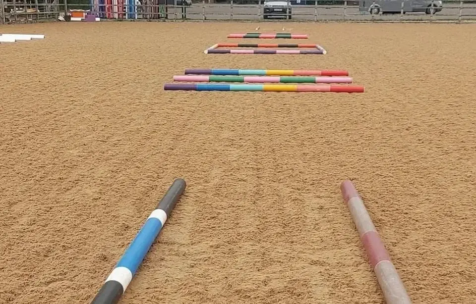 🌟 🦄DRESSAGE WITH POLES CLINIC ~ BCA🦄 🌟