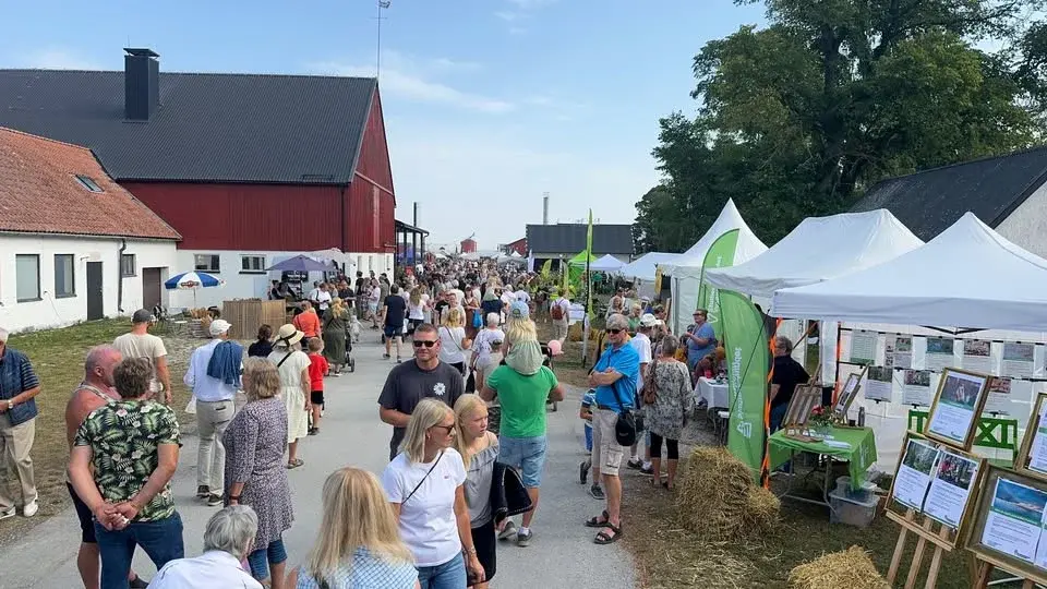 Gotlands Skördefestival 2026