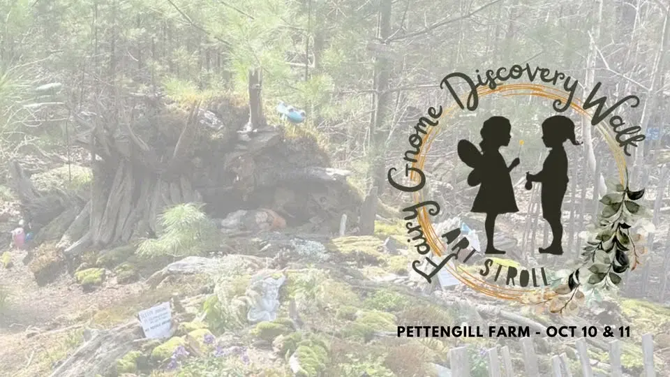 2026 Fairy Gnome Discovery Walk & Art Stroll