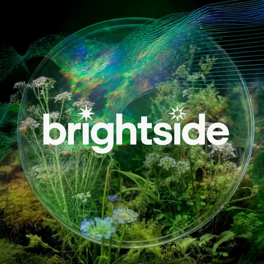 Brightside 003